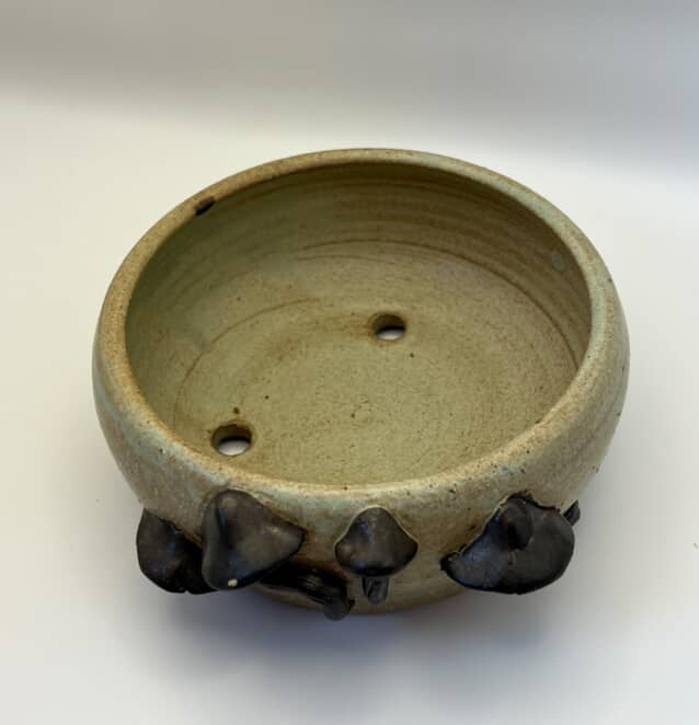 Mushroom Dance Pot