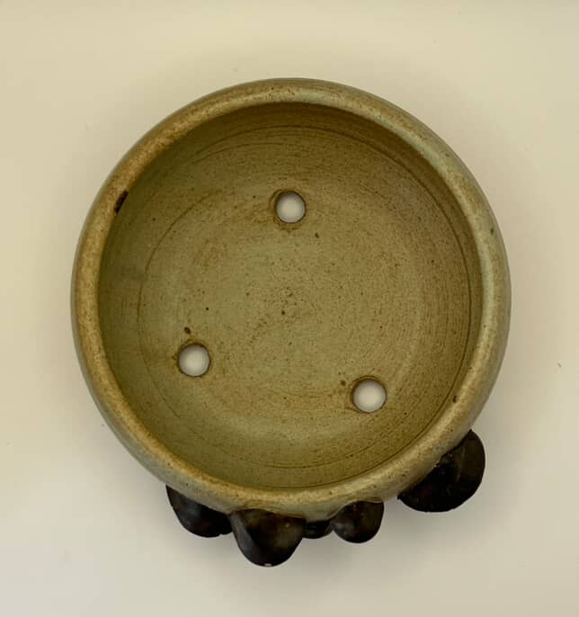 Mushroom Dance Pot